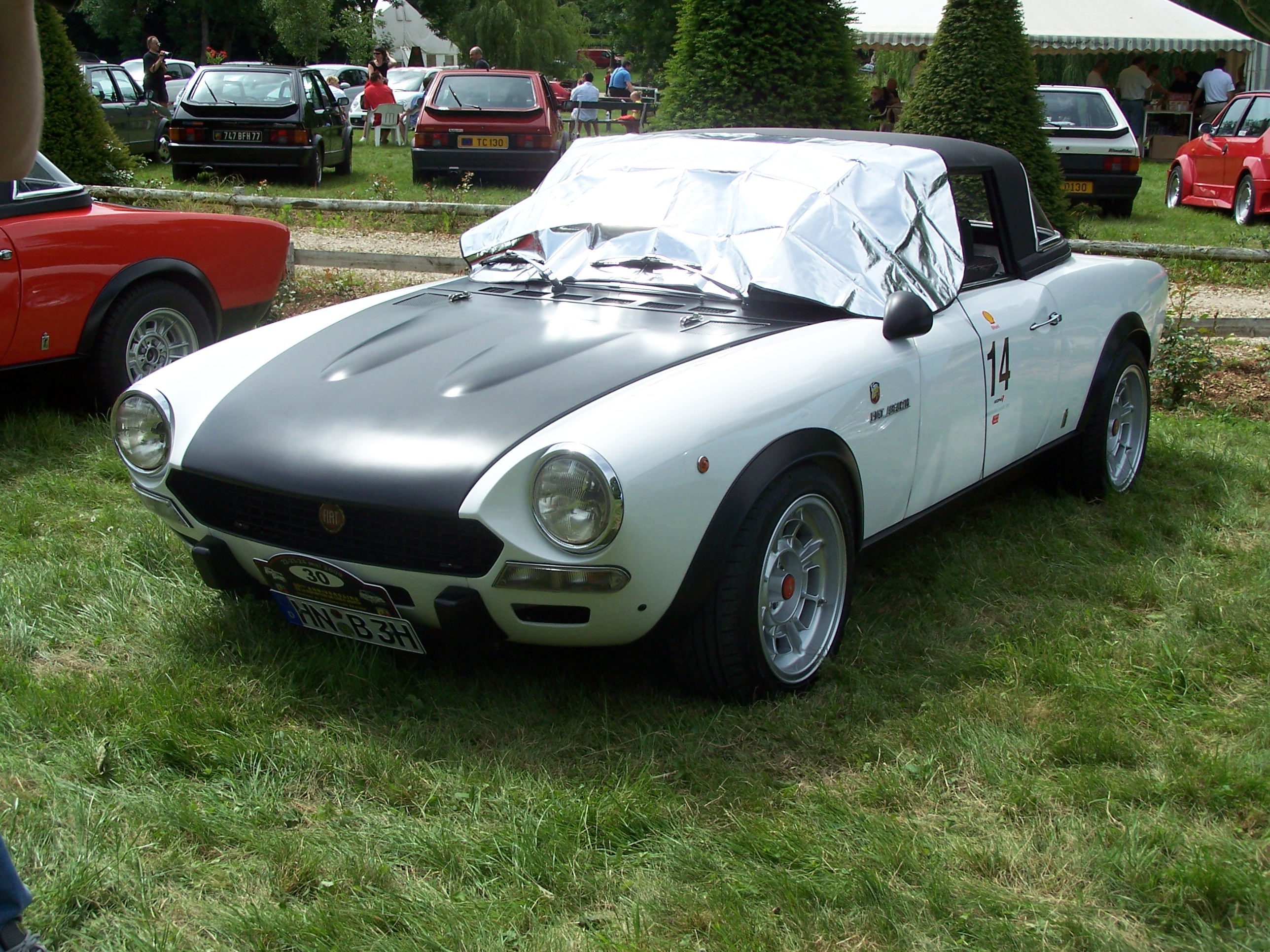 Foto van Abarth World Meeting 2009 Savigny Les Beaune